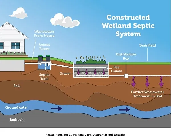 system diagram from septic tank to drain field via wetland