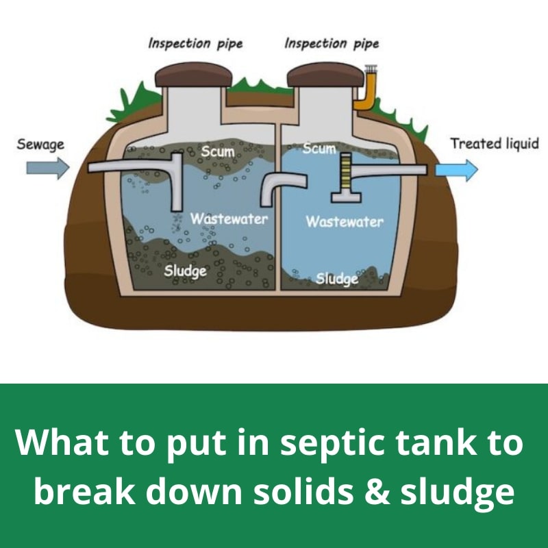 What to put in septic tank to break down solids & sludge