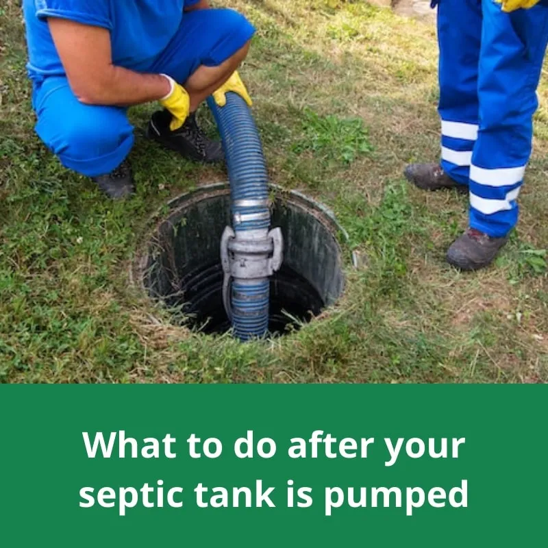 what to do after septic tank is pumped